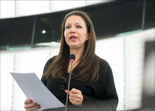 In eigener Sache: Kein Interview mit der österreichischen EU-Parlamentarierin Barbara Kappel
